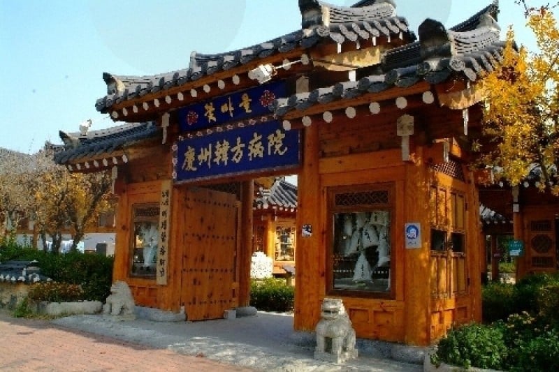 Gyeongju Mediflower Oriental Hospital 