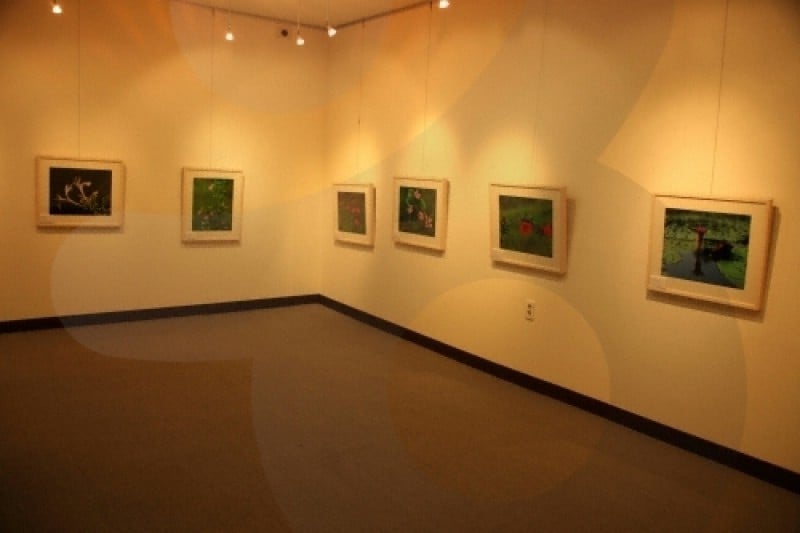 Public Cheongsong Yasong Art Gallery  (2/6)