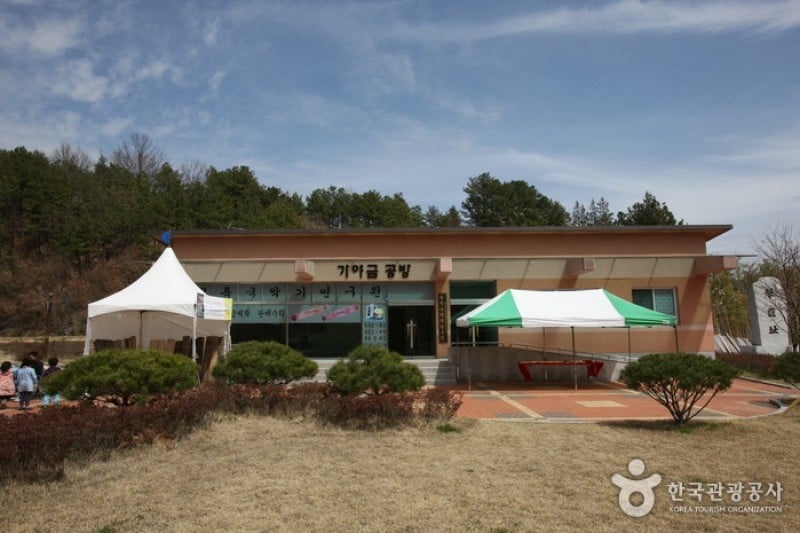 Ureuk Museum  (6/16)