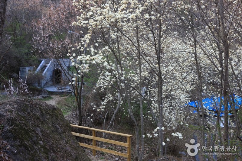 Binggye Valley  (16/18)