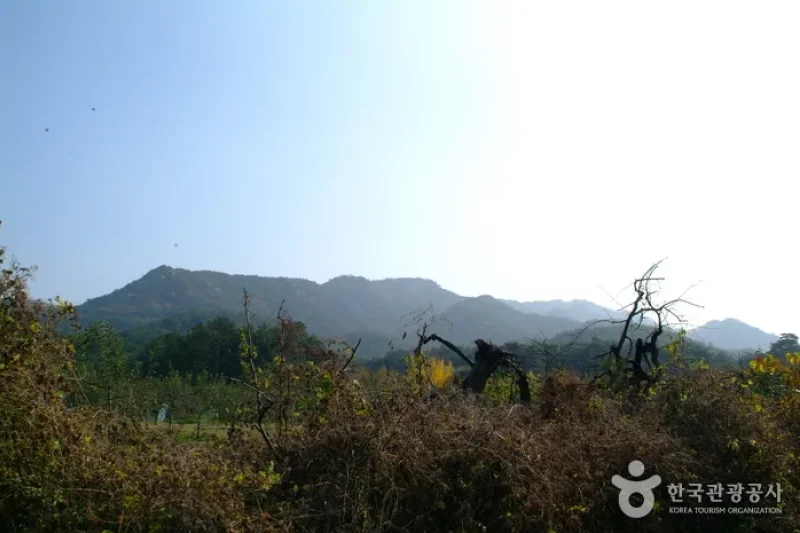 Gyeongju Samneung  (3/9)