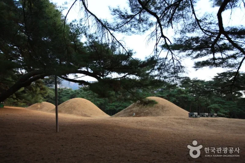 Gyeongju Samneung  (5/9)