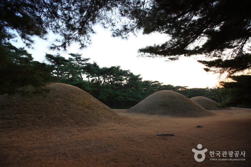 Gyeongju Samneung  (8/9)