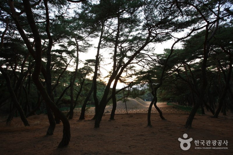 Gyeongju Samneung  (9/9)