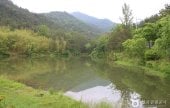 Songjeong Natural Recreation Forest 