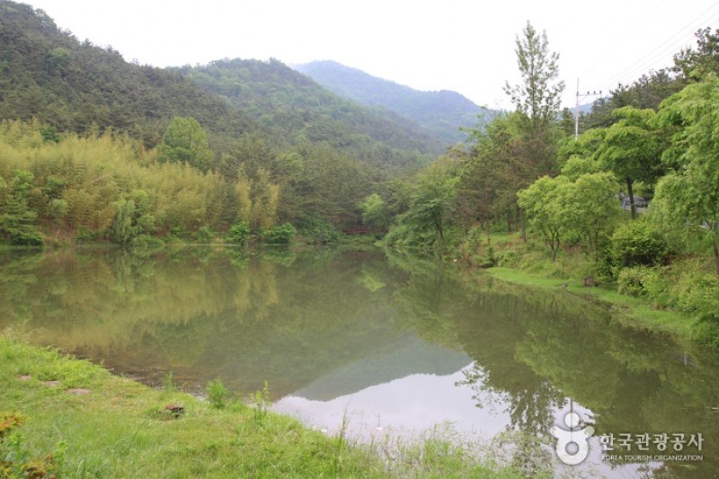 Songjeong Natural Recreation Forest  (1/14)