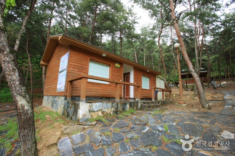 Songjeong Natural Recreation Forest  (2/14)