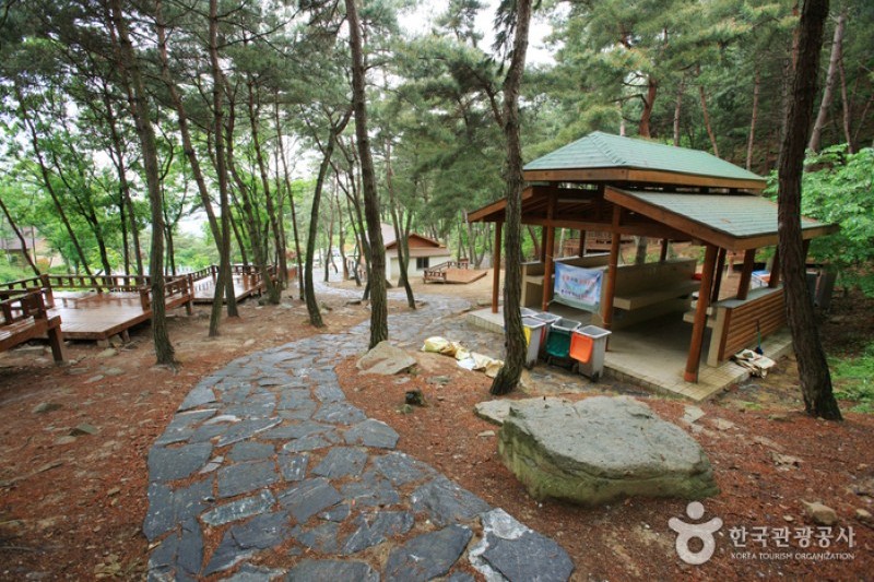 Songjeong Natural Recreation Forest  (3/14)