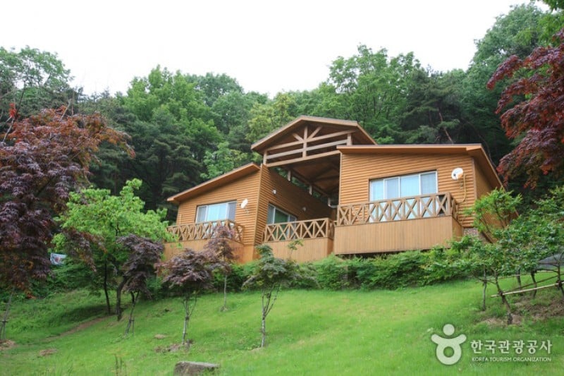 Songjeong Natural Recreation Forest  (4/14)