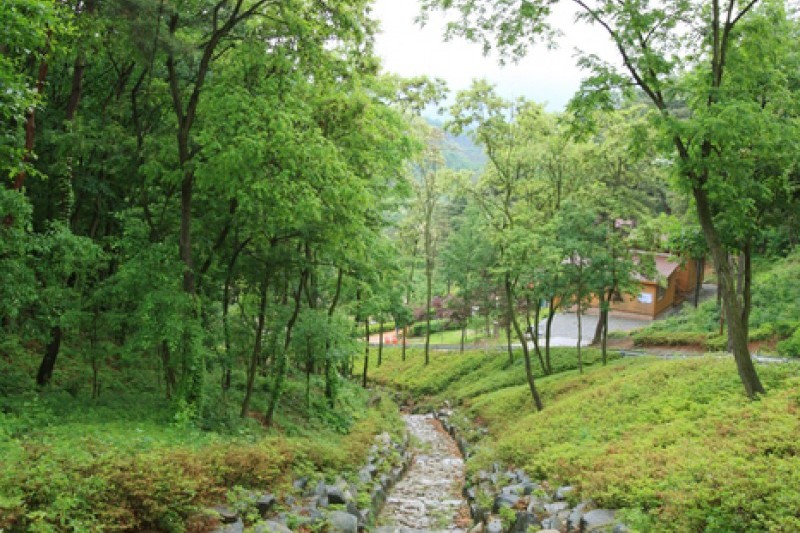 Songjeong Natural Recreation Forest  (5/14)
