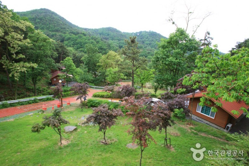 Songjeong Natural Recreation Forest  (6/14)