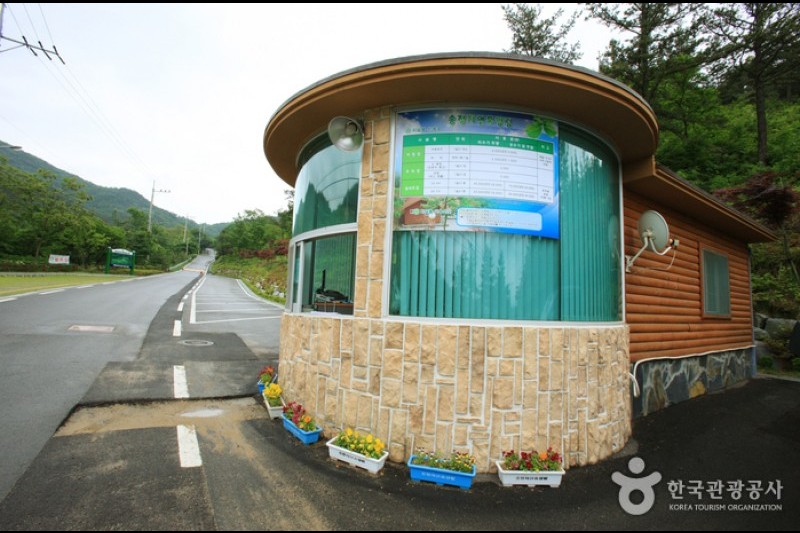 Songjeong Natural Recreation Forest  (7/14)