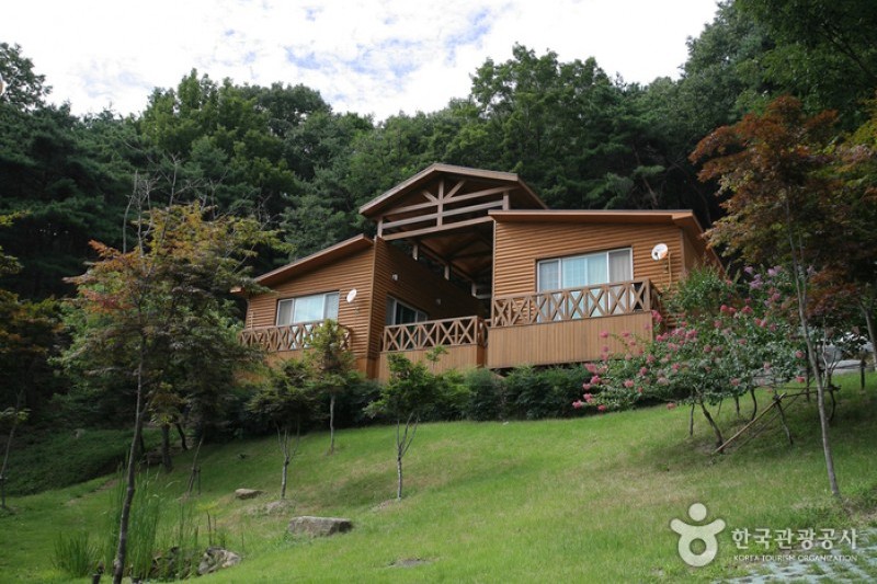 Songjeong Natural Recreation Forest  (8/14)