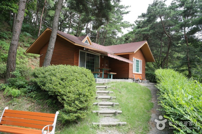 Songjeong Natural Recreation Forest  (9/14)