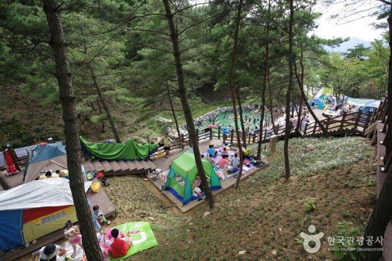 Songjeong Natural Recreation Forest  (11/14)