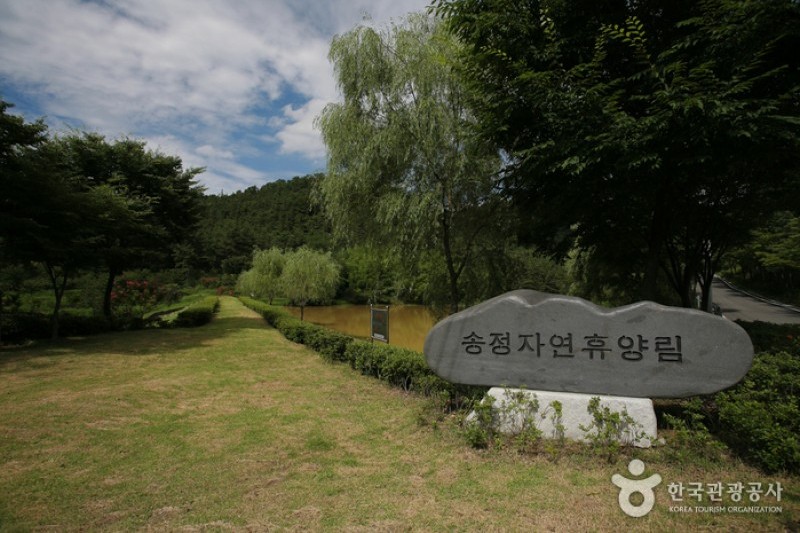 Songjeong Natural Recreation Forest  (12/14)