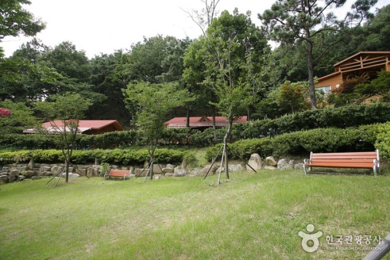 Songjeong Natural Recreation Forest  (13/14)