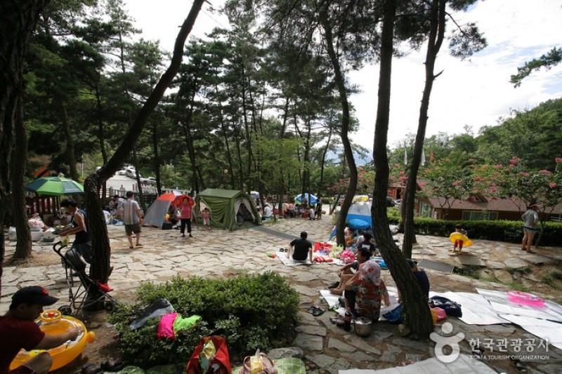 Songjeong Natural Recreation Forest  (14/14)