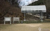 Goryeong Janggi-ri Rock Art (고령 장기리 암각화)