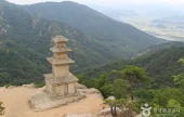 Gyeongju-si Special Tourist Zone (경주시 관광특구)