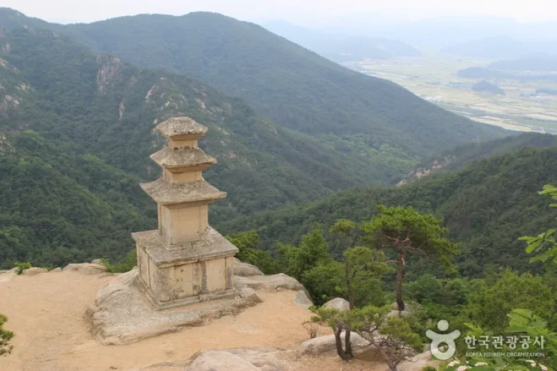 Gyeongju-si Special Tourist Zone (경주시 관광특구) (1/17)