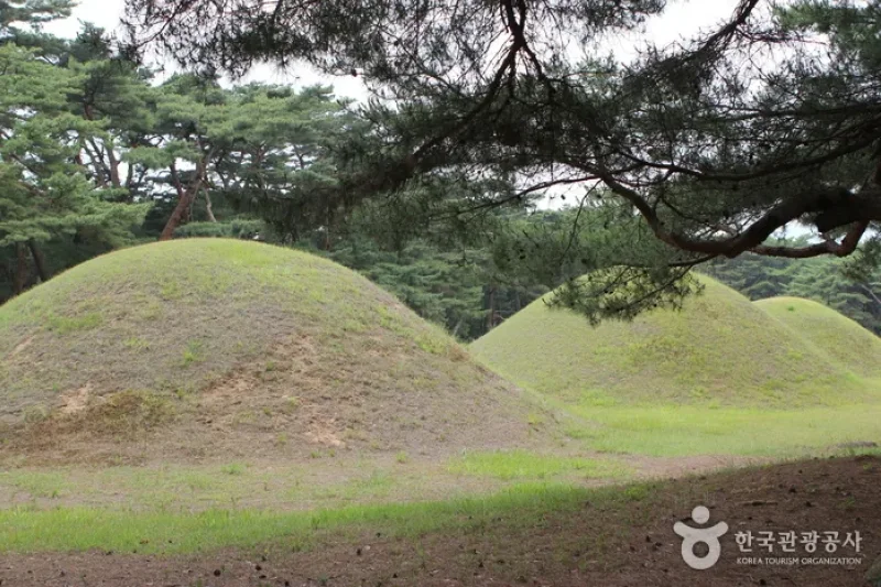 Gyeongju-si Special Tourist Zone (경주시 관광특구) (3/17)