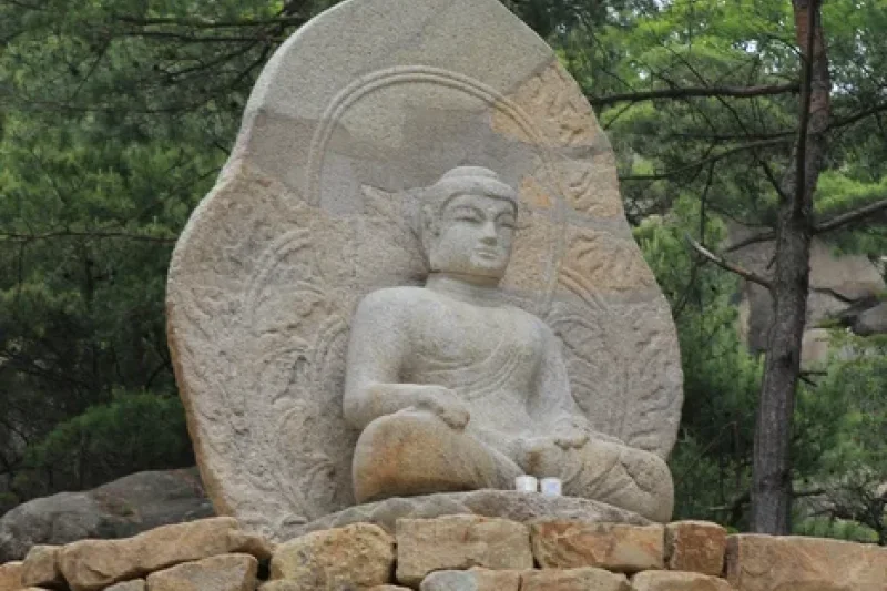 Gyeongju-si Special Tourist Zone (경주시 관광특구) (4/17)