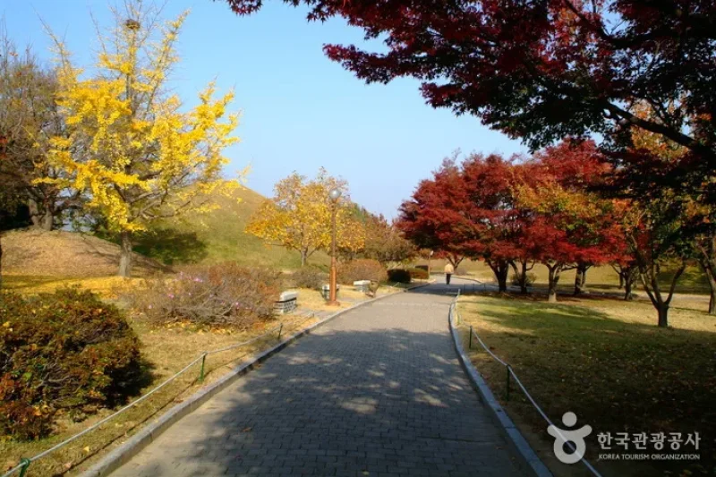 Gyeongju-si Special Tourist Zone (경주시 관광특구) (12/17)