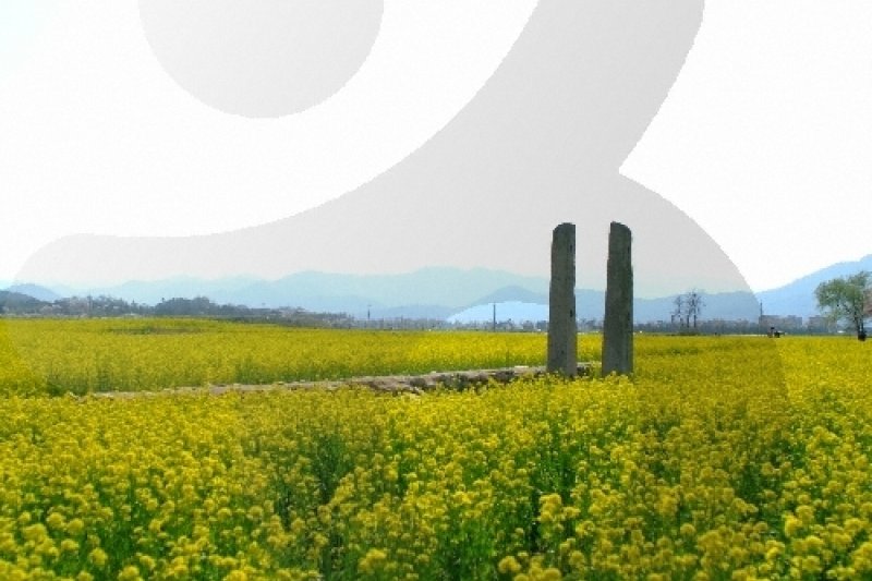 Gyeongju-si Special Tourist Zone (경주시 관광특구) (13/17)