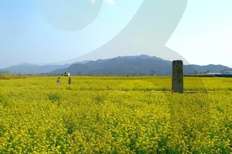 Gyeongju-si Special Tourist Zone (경주시 관광특구) (14/17)