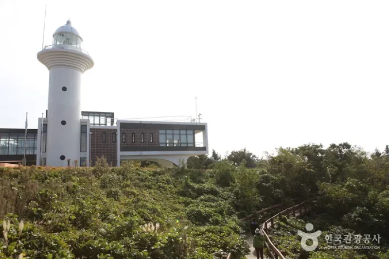 Ulleungdo Lighthouse  (6/6)