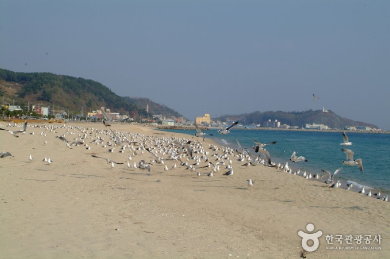 Hupo Beach  (1/5)