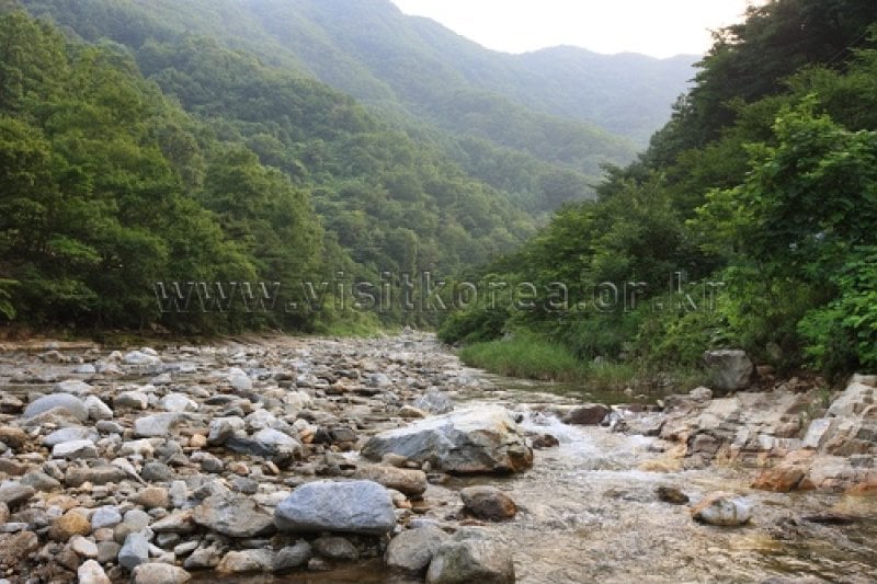 Pocheon Valley  (2/11)