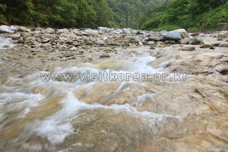Pocheon Valley  (5/11)