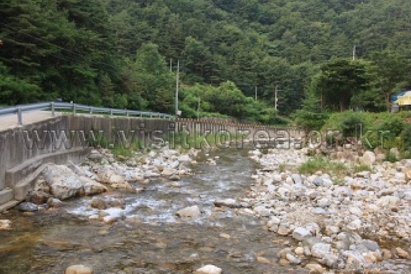 Pocheon Valley  (7/11)