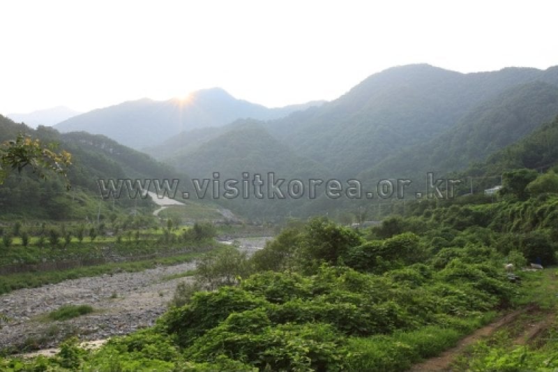 Pocheon Valley  (9/11)