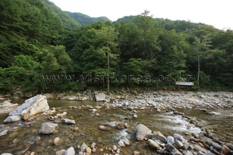 Pocheon Valley  (10/11)