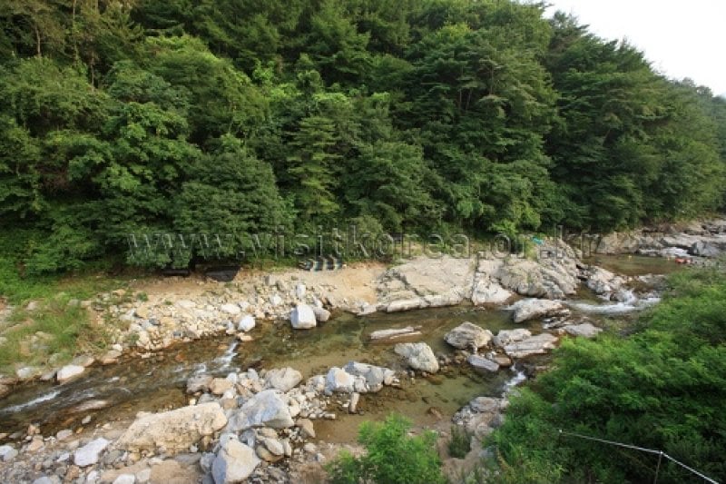 Pocheon Valley  (11/11)