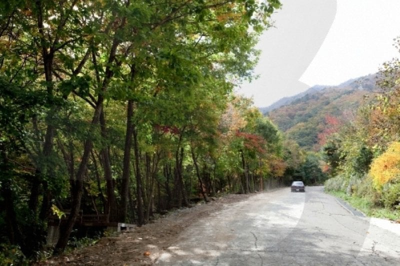 Unmunsan County Park (운문산군립공원) (1/5)