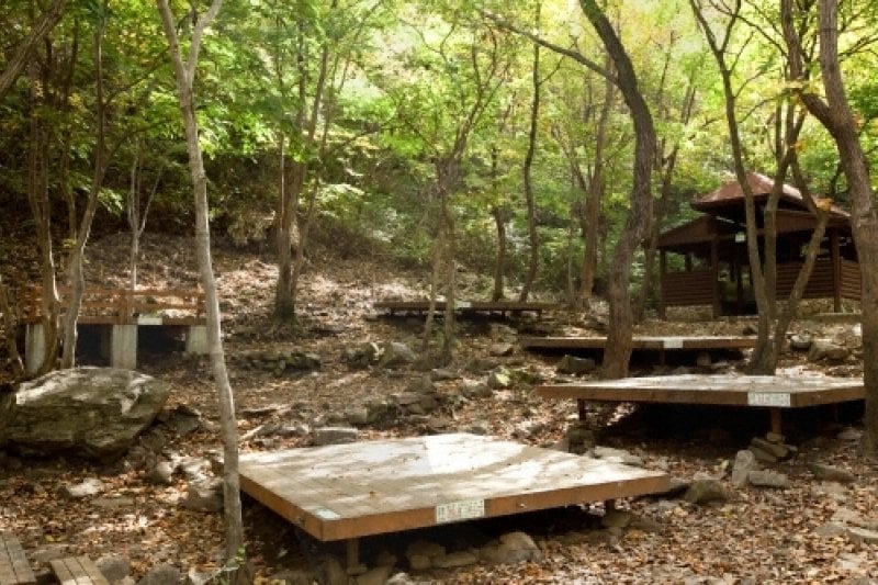 Unmunsan County Park (운문산군립공원) (4/5)