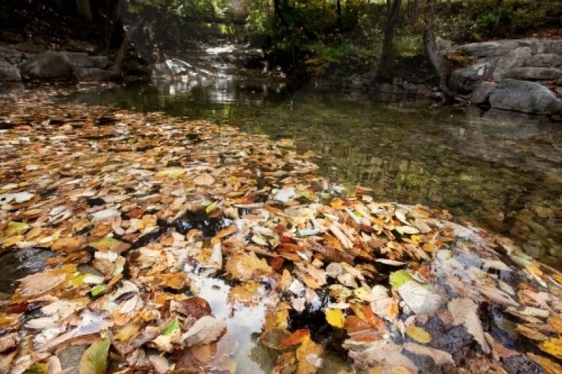 Unmunsan County Park (운문산군립공원) (5/5)