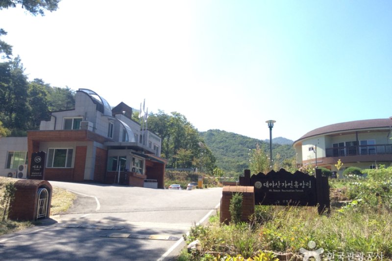 Daeyasan Mountain Natural Recreation Forest (국립 대야산자연휴양림) (1/5)