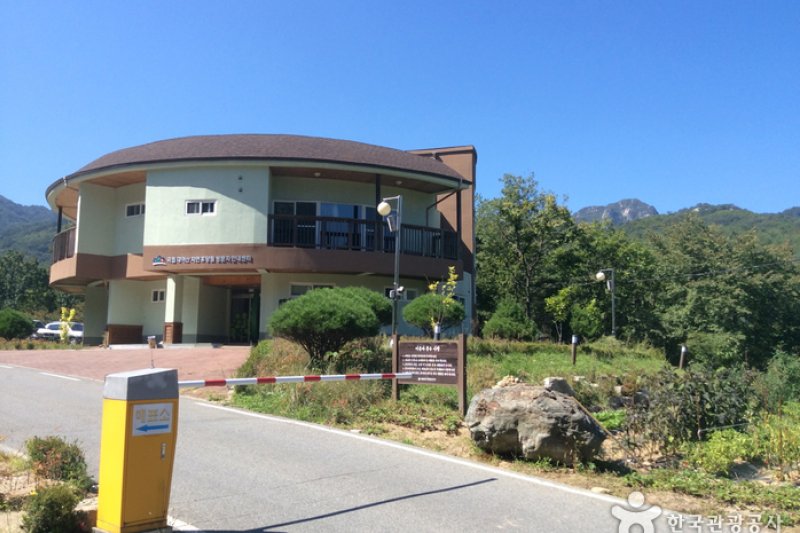 Daeyasan Mountain Natural Recreation Forest (국립 대야산자연휴양림) (2/5)