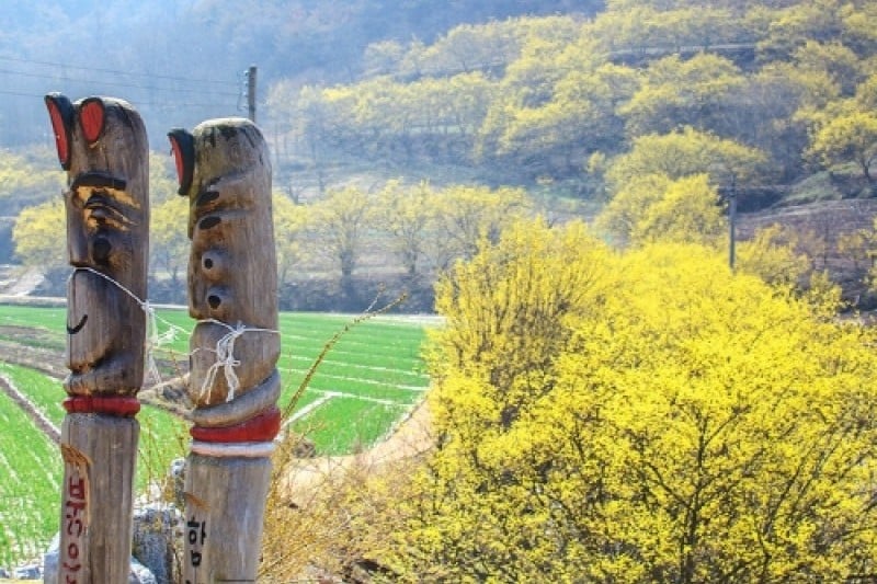 Uiseong Sansuyu Flower Festival  (3/9)