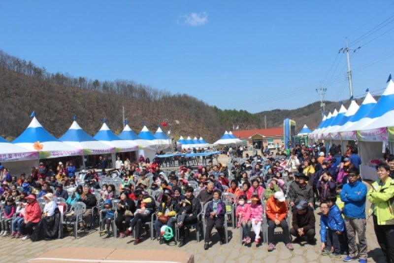 Uiseong Sansuyu Flower Festival  (6/9)