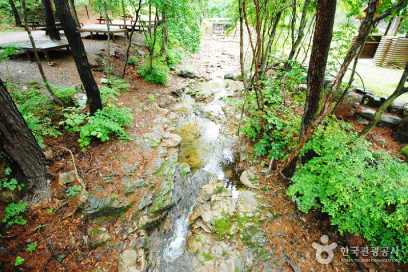 Geommasan Natural Recreation Forest (검마산자연휴양림) (5/15)