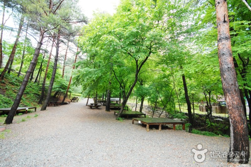 Geommasan Natural Recreation Forest (검마산자연휴양림) (6/15)