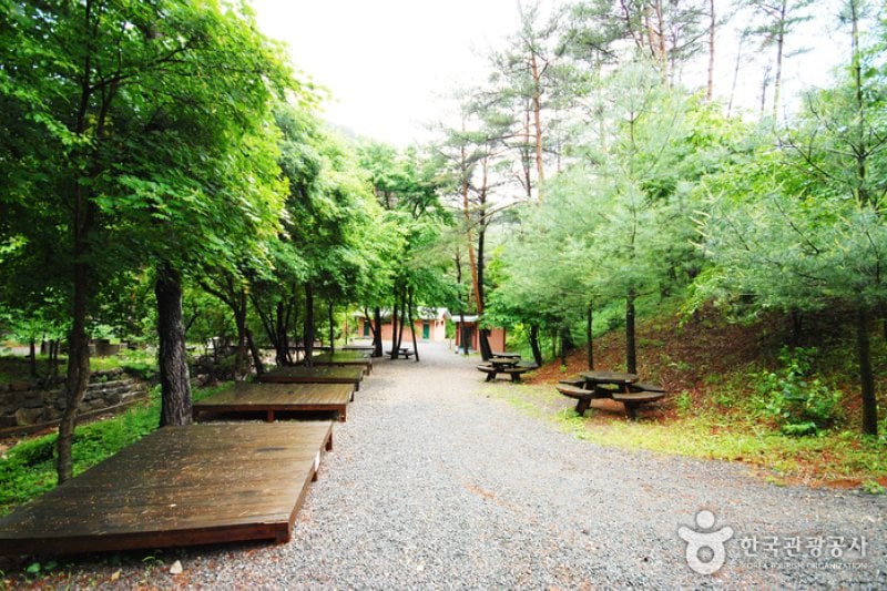 Geommasan Natural Recreation Forest (검마산자연휴양림) (7/15)