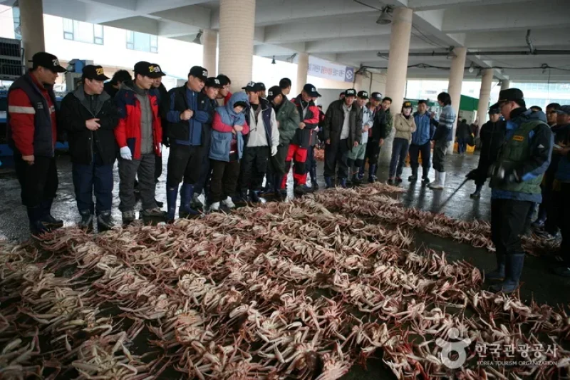 Guryongpo 5-Day Market  (1/4)