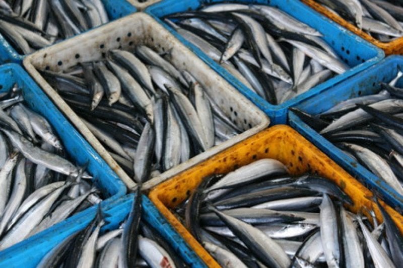Guryongpo 5-Day Market  (2/4)